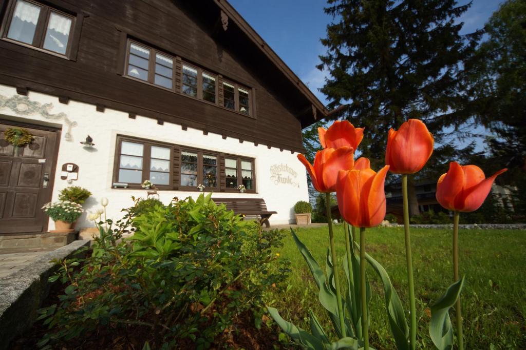 Gaestehaus Funk Bad Feilnbach Eksteriør billede